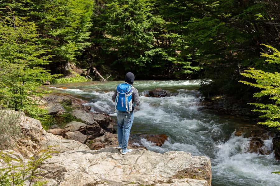 From Ushuaia: Discover Tierra del Fuego National Park - Key Things to Know Before You Go