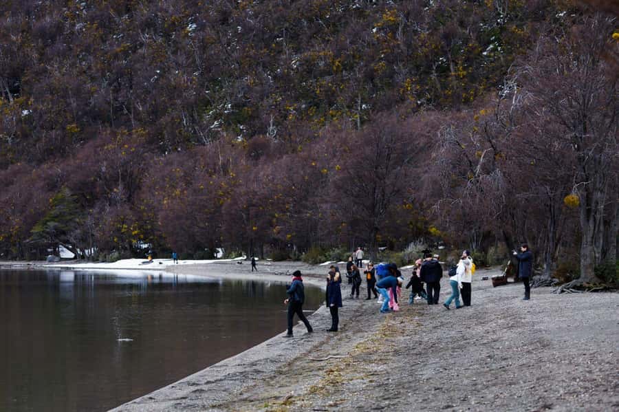 From Ushuaia: Discover Tierra del Fuego National Park - Why This Park Deserves a Half-Day