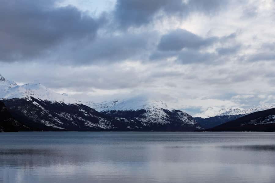 From Ushuaia: Discover Tierra del Fuego National Park - Pipo River and Mount Susana