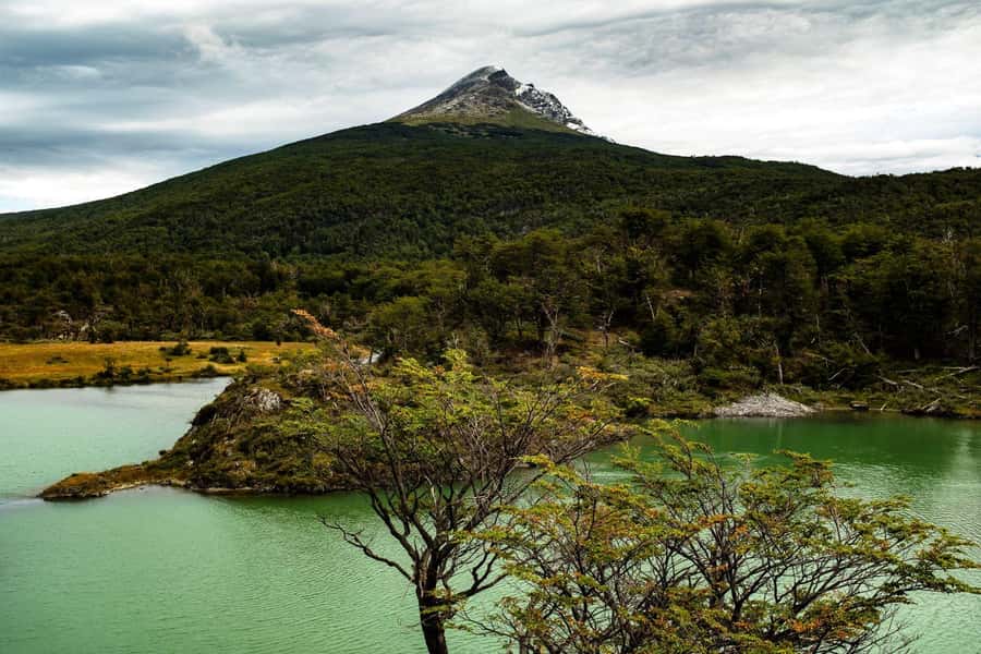 From Ushuaia: Discover Tierra del Fuego National Park - Lake Acigami and the Subantarctic Forest