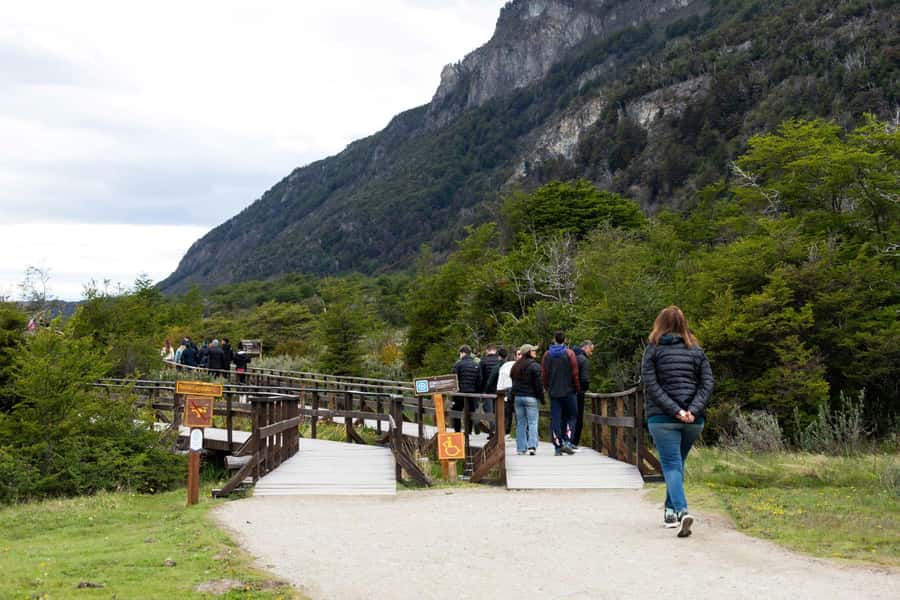 From Ushuaia: Discover Tierra del Fuego National Park - Wildlife: What You Might See