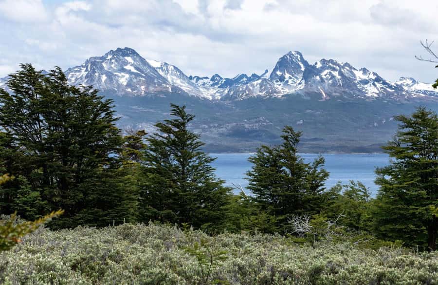 From Ushuaia: Discover Tierra del Fuego National Park - How the Train Excursion Changes the Value