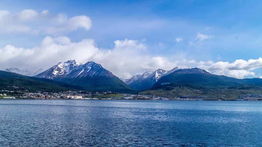 From Ushuaia: Penguin Watching Tour by Catamaran - Martillo Island and the Magellanic penguins