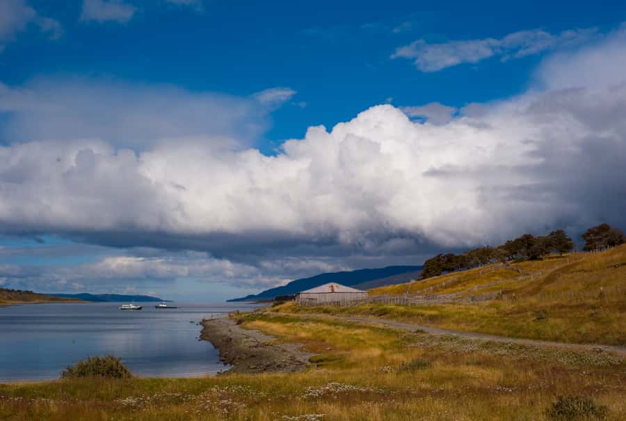 From Ushuaia: Penguin Watching Tour by Catamaran - Who will enjoy this Ushuaia cruise most?