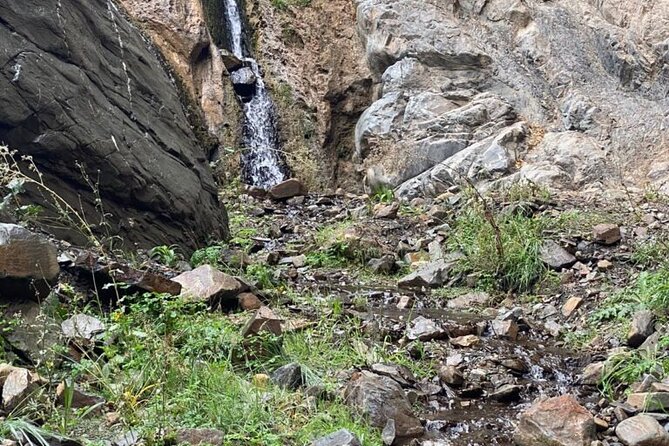 Full Day 4x4 Safari Tour in Villavicencio, Mendoza - The Condor Sanctuary and the search for birds