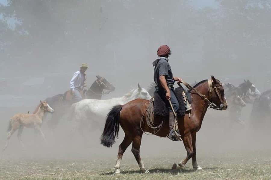 Full-Day at Santa Susana Ranch with BBQ, Drinks and Show - Tango and folklore with lunch