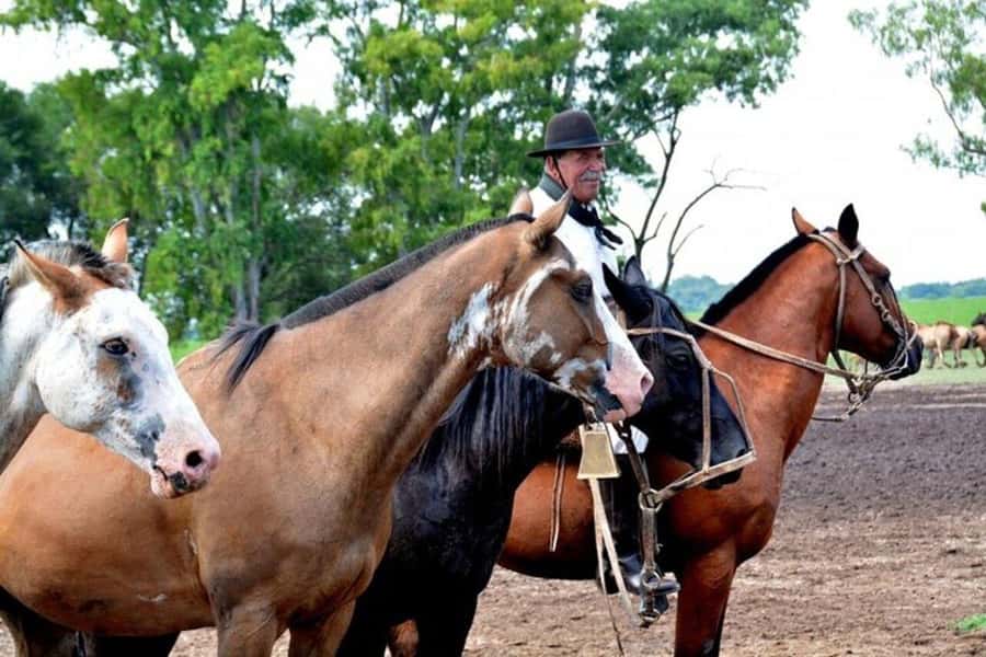 Full-Day at Santa Susana Ranch with BBQ, Drinks and Show - Who will enjoy Santa Susana Ranch?