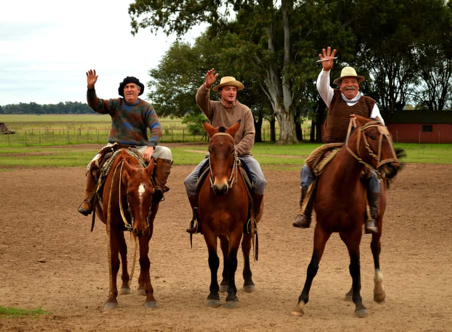 Full-Day at Santa Susana Ranch with BBQ, Drinks and Show - A welcome of empanadas and Argentine wine