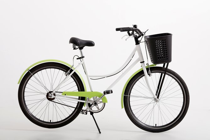 Full Day Bike Rental in Buenos Aires - Choosing the right bicycle