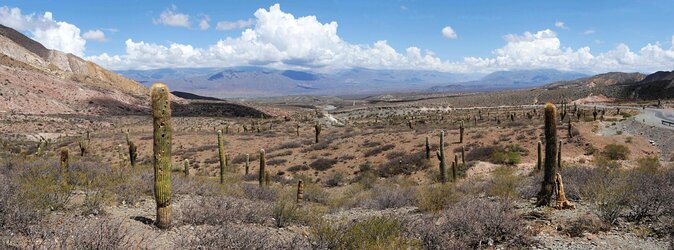 Full-day Cachi and Los Cardones National Park from Salta - Key points before you book