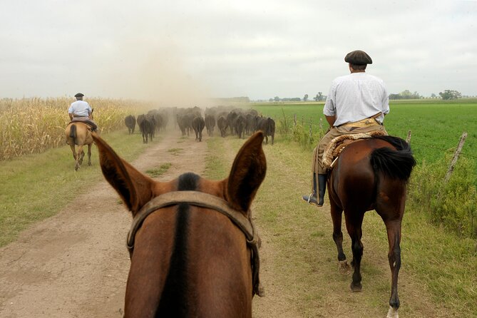 Full-Day Horseback Riding with Gauchos from Buenos Aires - Key points to know before you book
