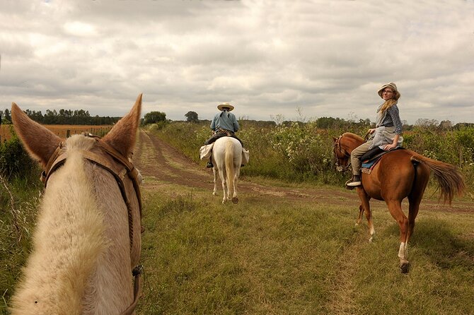 Full-Day Horseback Riding with Gauchos from Buenos Aires - Morning riding through fields and acacia trees
