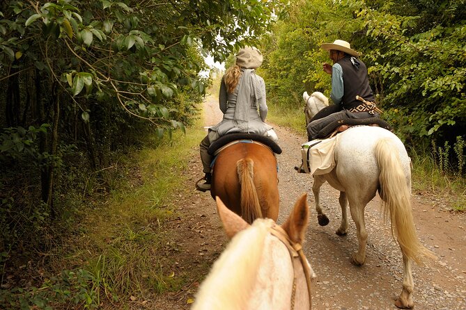 Full-Day Horseback Riding with Gauchos from Buenos Aires - What the riding is really like