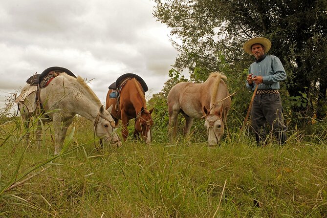 Full-Day Horseback Riding with Gauchos from Buenos Aires - Is $250 good value?