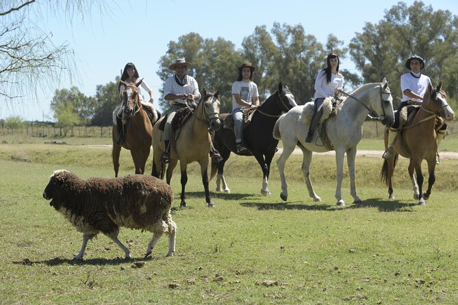 Full-Day Horseback Riding with Gauchos from Buenos Aires - The people make the day work