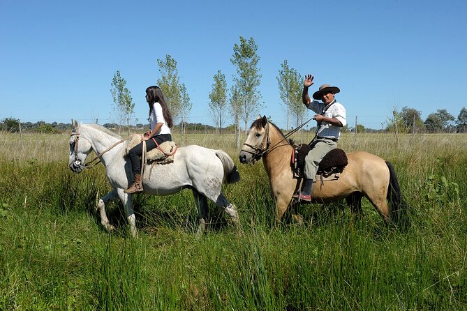 Full-Day Horseback Riding with Gauchos from Buenos Aires - Meeting the criollo horses at the stud farm