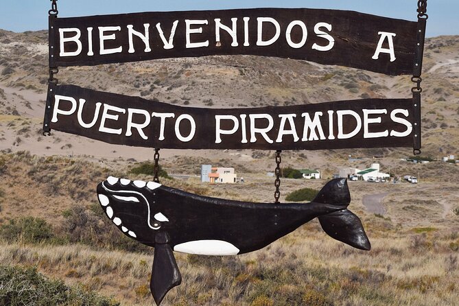 Full Day Peninsula Valdes Experience - optional Whale Watching - Why Peninsula Valdes is worth a day from Puerto Madryn