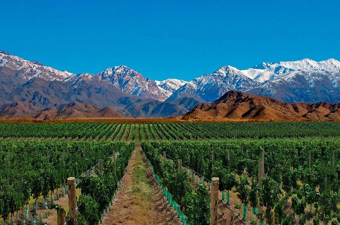 Full Day Private Guided Tour of Vinicolas de Mendoza - A private guide changes the feel of the day