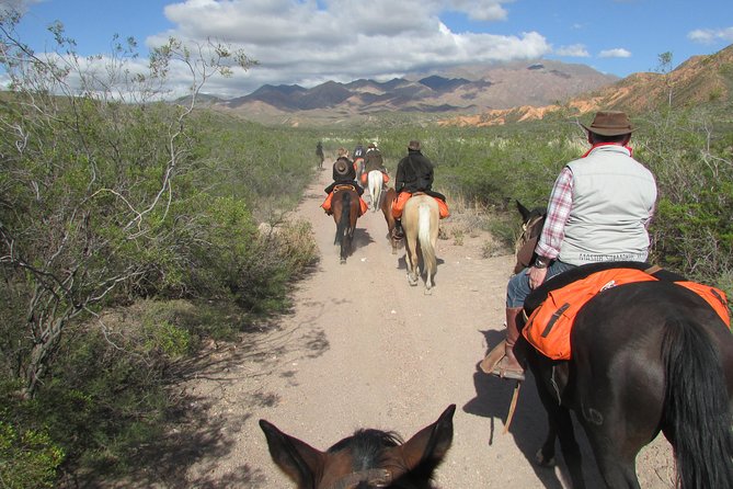 Full day ride at the foot of The Andes - Three hours beneath the Andean foothills