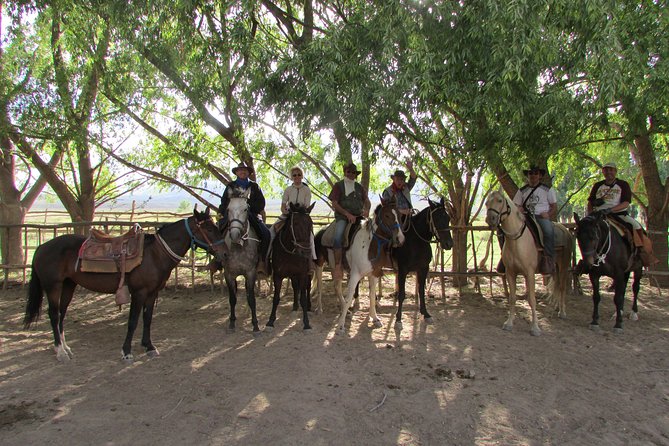 Full day ride at the foot of The Andes - Ratings, reliability, and the smart way to book