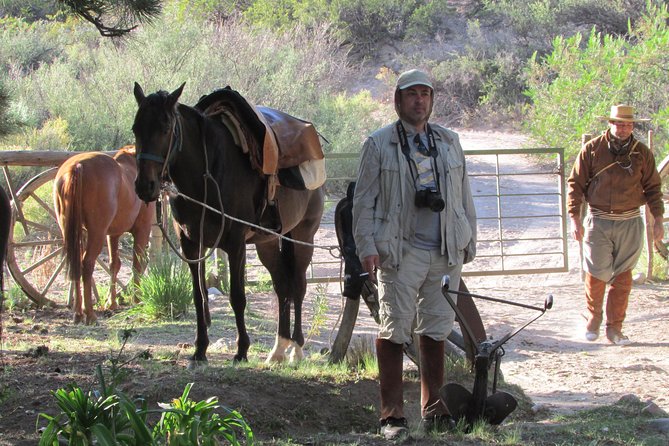 Full day ride at the foot of The Andes - Choosing the right horse for your ability