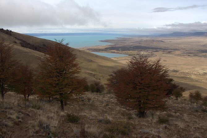 Full Day Trekking Adventure in Cerro Frias - Lago Argentino from the summit