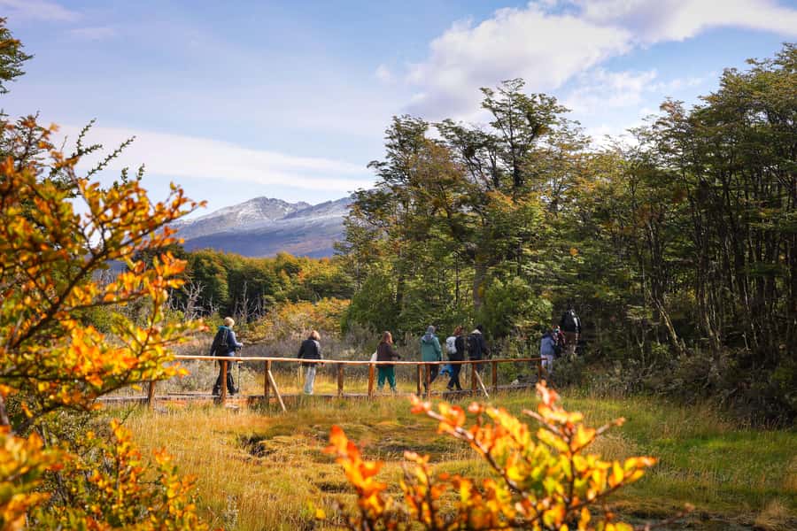 Full Day Trip to Tierra del Fuego National Park - Key points to know before booking