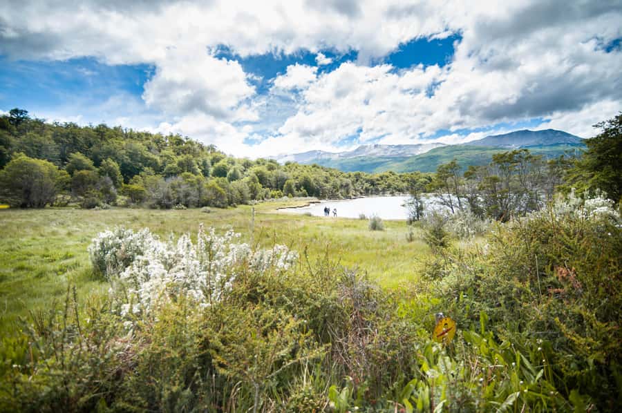 Full Day Trip to Tierra del Fuego National Park - From Ushuaia to National Route 3