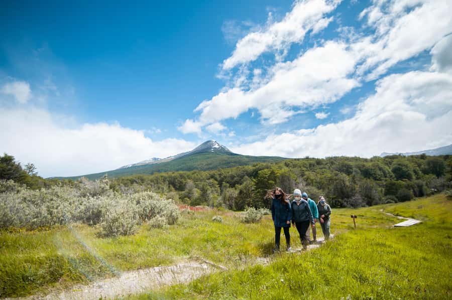 Full Day Trip to Tierra del Fuego National Park - Ensenada Zaratiegui and the coastal views