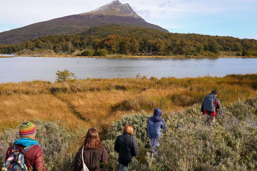 Full Day Trip to Tierra del Fuego National Park - Walking the Pampa Alta and Ensenada routes
