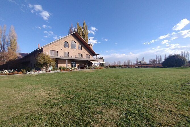 Full Day Wineries in Maipu and Lujan : 2/3 Wineries + 1 Olive Tree - Why a private winery day makes sense in Mendoza