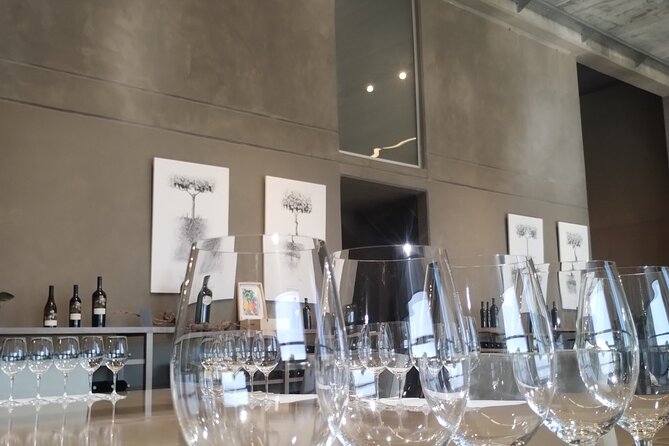 Full Day Wineries in Maipu and Lujan : 2/3 Wineries + 1 Olive Tree - What to expect at two or three wineries