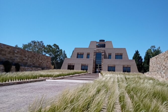 Full Day Wineries in Maipu and Lujan : 2/3 Wineries + 1 Olive Tree - How much value do you get for $103.50?