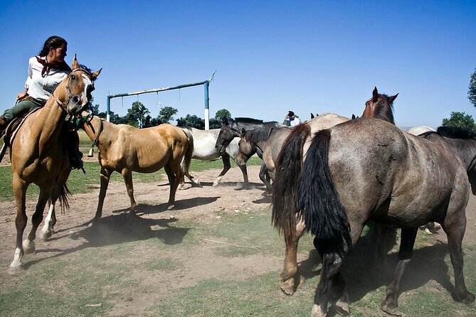 Gaucho Day Tour Don Silvano Estancia From Buenos Aires - Gaucho skills and horse demonstrations after lunch