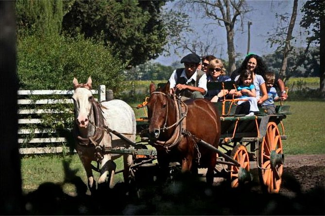 Gaucho Day Tour Don Silvano Estancia From Buenos Aires - Arrival at Don Silvano and the first ranch activities