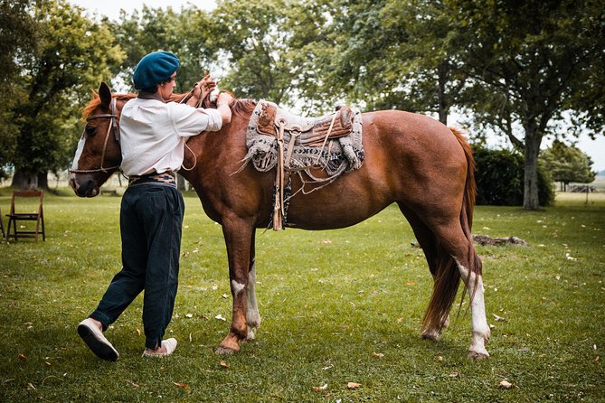 Gaucho Day Tour Ranch at an Estancia from Buenos Aires - Why this day trip is worth leaving Buenos Aires