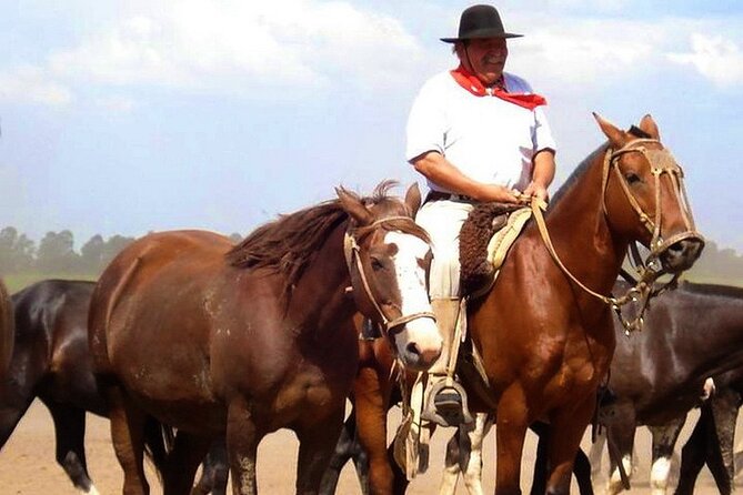 Gaucho Day Tour Santa Susana Estancia From Buenos Aires - Key points to know before booking