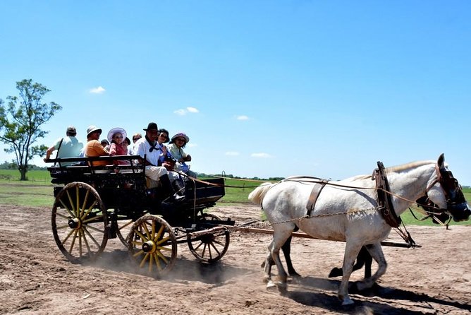 Gaucho Day Tour Santa Susana Estancia From Buenos Aires - Who will enjoy Santa Susana most