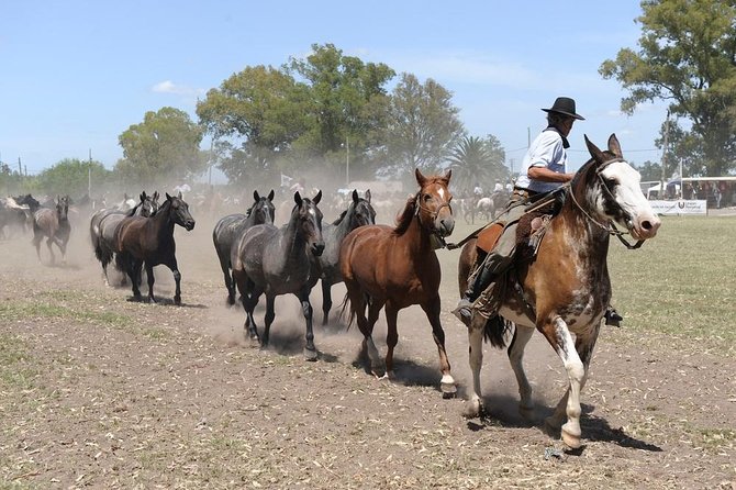 Gaucho Experience: A Day Trip to Don Silvano Ranch - Horseback Riding, With Gaucho-Sized Expectations