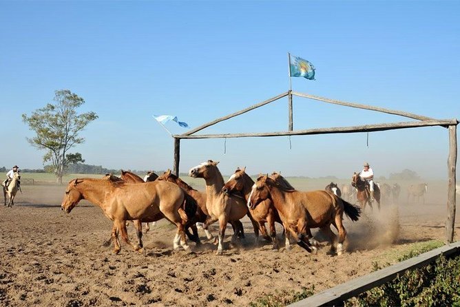 Gaucho Fiesta with lunch - full day tour - Language options and guiding