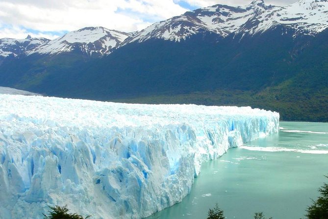 Glacier navigation Mayo Spirit Trek 3 landings and walk through the Forest - Bahia Toro and the old cherry tree