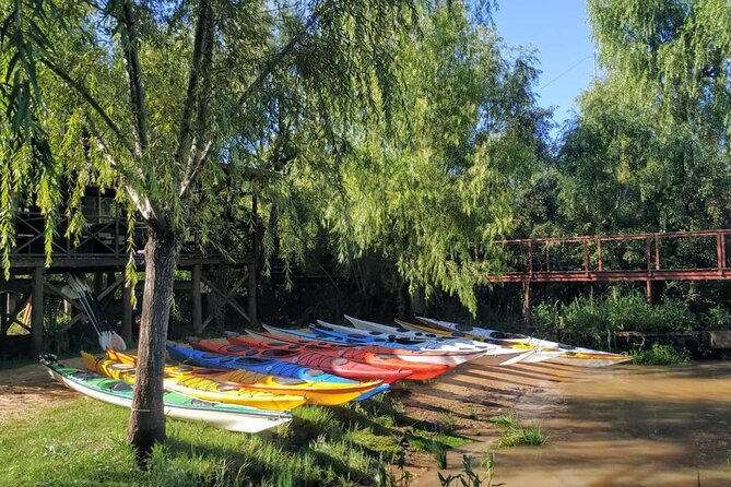 Guided Kayak Tour in Buenos Aires. - The private format and guide style