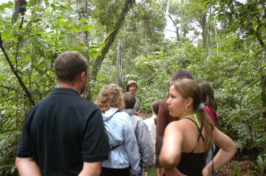 Half-Day Iguazú Forest Adventure - What this forest adventure is really like