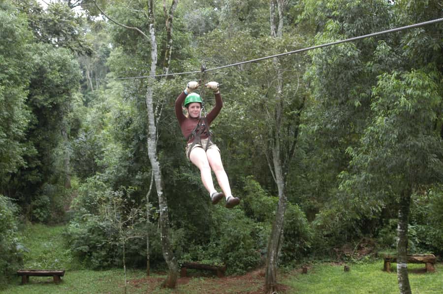 Half-Day Iguazú Forest Adventure - Three treetop stages across 800 meters