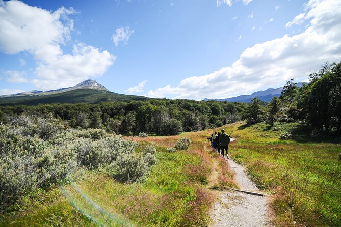Half-Day Tierra del Fuego National Park with Lunch and Drinks - Leaving Ushuaia Around 8:00 a.m.