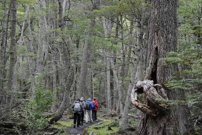 Half-Day Tierra del Fuego National Park with Lunch and Drinks - Acigami Lake and the Park’s Waterways