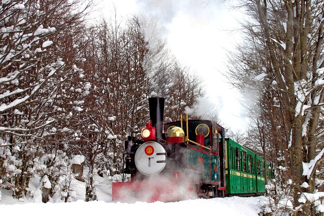 Half-Day Tierra del Fuego National Park with Train - Why this half-day tour works in Ushuaia