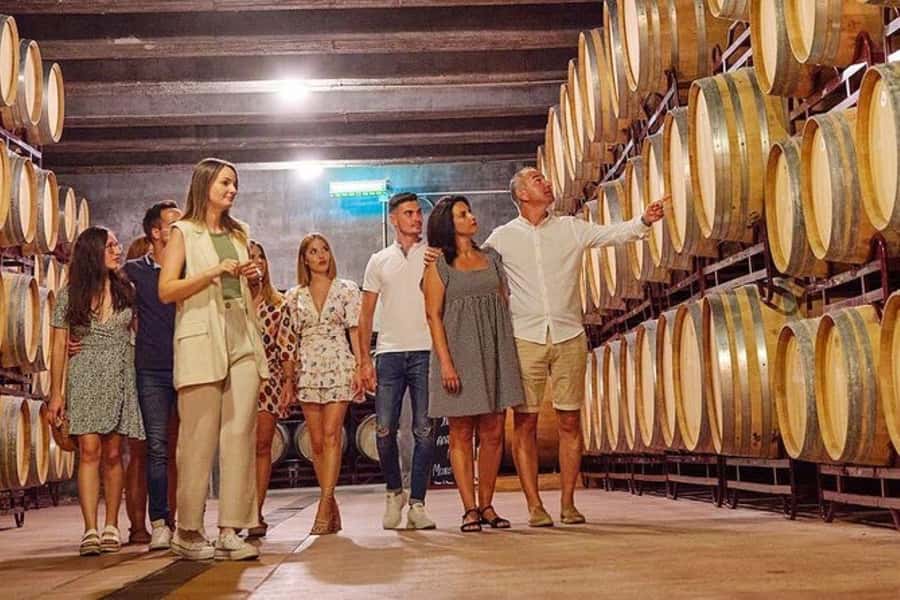 Half Day Tour of Wineries and Olive Oil from Mendoza - Why Maipú makes sense for a half-day outing