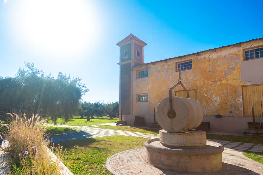 Half Day Tour of Wineries and Olive Oil from Mendoza - Who will get the most from this tour