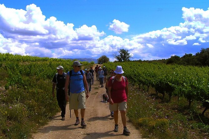 Half Day Tour of Wineries and Olive Oil with Lunch from Mendoza - Why Maipú makes a good first taste of Mendoza